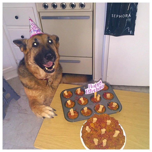 Meet your Posher, Stella - Picture 3 of 8